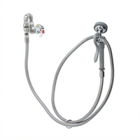 T&S Brass Wall-Mount Single Pre-Rinse Faucet with 96-Inch Flexible Hose, Spray Valve, and Vacuum Breaker