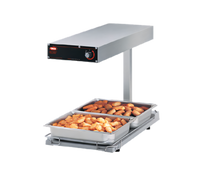 Hatco Glo-Ray Portable Foodwarmer / Fry Dump Station with Heated Base and Incandescent Lights, Rod Style, 12.75 x 24 Inches