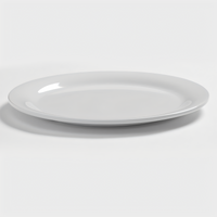 Jane 9-Inch Round Wide Rim Melamine Dinner Plate