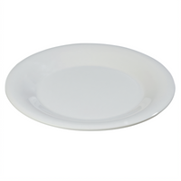 Sierrus™ 9-Inch White Wide Rim Melamine Dinner Plate