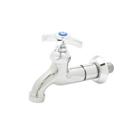 T&S Brass ADA-Compliant Heavy-Duty Wall-Mount Single Sink Faucet with Adjustable Flange and Garden Hose Thread Outlet