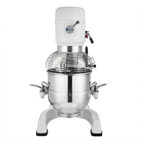 Eurodib 30 Qt Floor Model Gear-Driven Planetary Mixer with #12 Hub, 220V