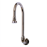 T&S Brass Wall-Mount Rigid Gooseneck Spout with Rose Spray, 1/2 Inch IPS Female Inlet