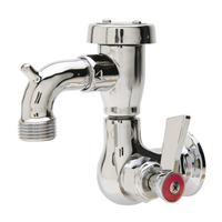 Fisher Commercial Sill Faucet with Vacuum Breaker, Lever Handle, 1/2 Inch Female Inlet and 3/4 Inch Hose Thread