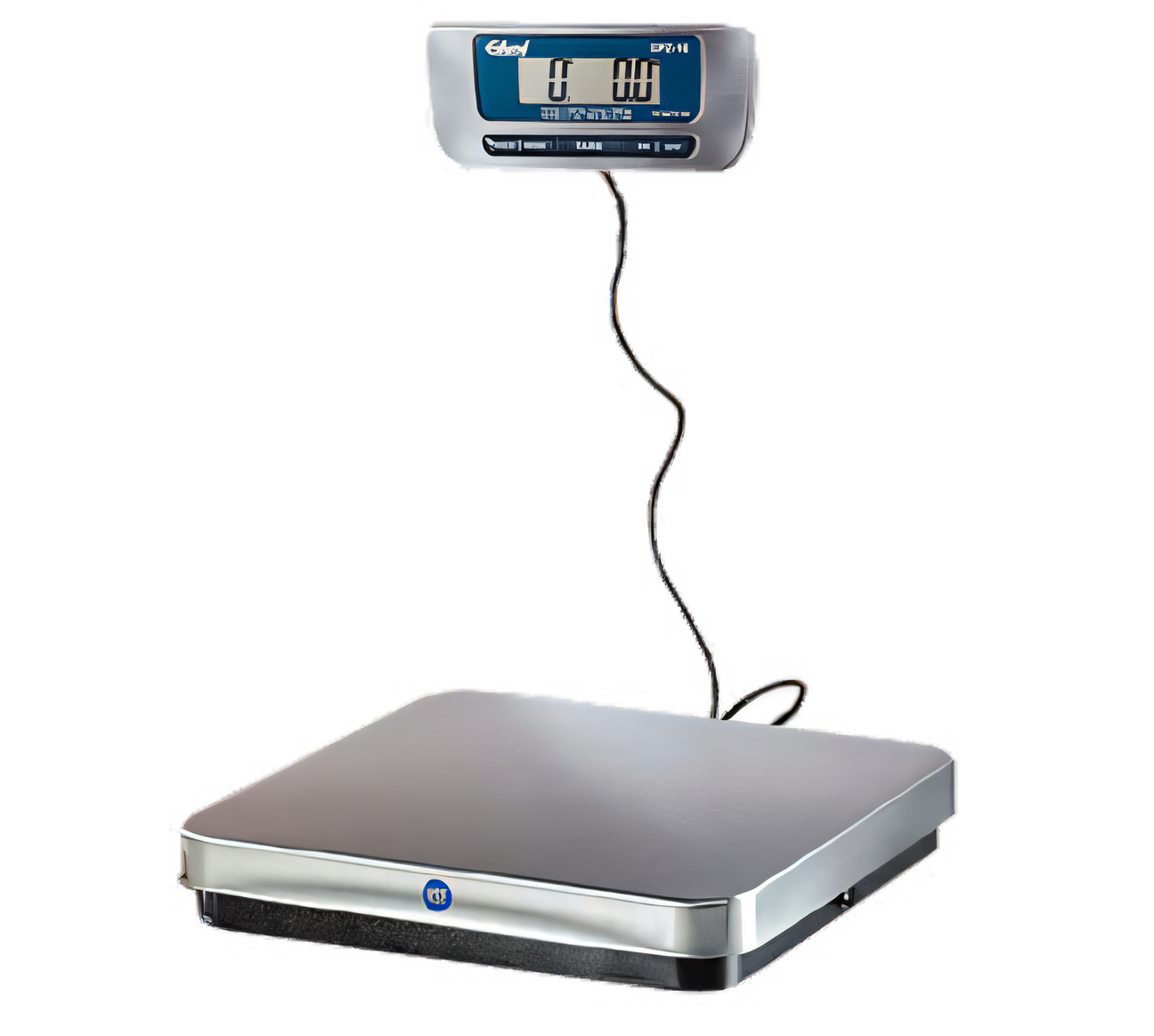 Image for collection of Commercial Food Scale
