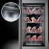 Thumbnail image #3 for Trento Stagionello Dry Age 3.0 900 Liter Dry Aging Cabinet with Humidity Management and Glass Door