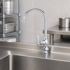 Thumbnail image #3 for BK Resources OptiFlow BKF-SPF-5G-G Heavy-Duty Single-Hole Deck-Mount Pantry Faucet with 5-Inch Gooseneck Spout, Ceramic Valve, Chrome Finish