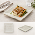 Thumbnail image #4 for Grove 8.5-Inch Square Melamine Dinner Plate, Buff