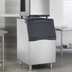 Thumbnail image #3 for Scotsman B530S 30-Inch Top-Hinged Front-Opening Ice Storage Bin, 536 lb Capacity