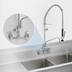 Thumbnail image #3 for Fisher Spring Style 8-Inch Centers Backsplash-Mount Pre-Rinse Unit with Add-On Faucet and 12-Inch Swing Spout