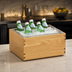 Thumbnail image #4 for Cal-Mil Sydney Oak Wood Ice Housing with Polycarbonate Pan & Liner