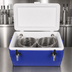 Thumbnail image #3 for Micro Matic USA 48 Quart Ice Chest Coil Cooler with 2 Faucets, Blue