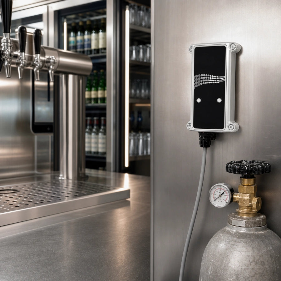 CO2 Leak Monitoring