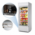 Thumbnail image #3 for True 30-Inch One-Section Glass Door Freezer Merchandiser with Hinged Door