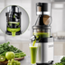 Thumbnail image #3 for Kuvings CS600 Countertop Commercial Whole Slow Cold-Press Fruit and Vegetable Juicer