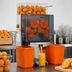 Thumbnail image #4 for Omcan JE-CN-0020 Countertop Citrus Juice Extractor, 20 Oranges Per Minute, 120V