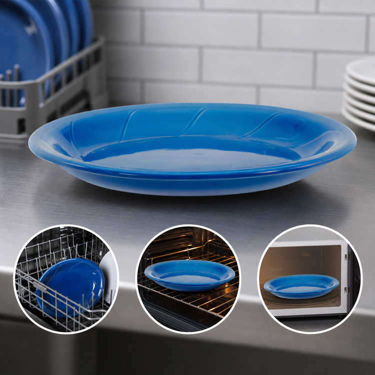 Product image #4 for Bay Pointe Oval Narrow Rim Vitrified Ceramic Platter, 9-5/8 x 8 Inches, Assorted Colors