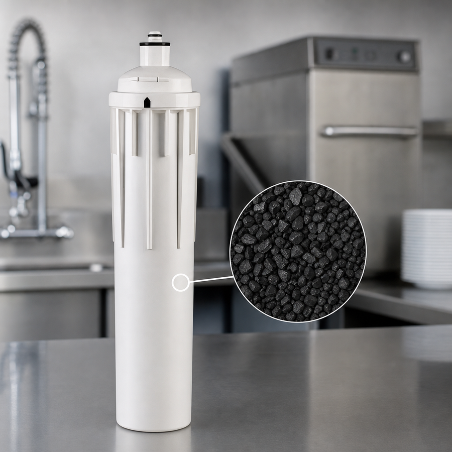 Catalytic Carbon Media