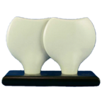 Thumbnail image #1 for Vertex China Ventana AV-SPB Salt & Pepper Shaker Base, Rolled Edge, Bright White Glossy, 5-1/2 x 2-5/8 x 3/4 in Case of 3 Dozen