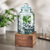 Thumbnail image #4 for Mid-Century 2 Gallon Glass Beverage Dispenser with Ice Chamber and Walnut Base