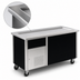 Thumbnail image #4 for Randell Mobile Modular Self-Contained Frost Top Serving Station with Enclosed Base, 60 Inch, 4 Half-Size Pan Capacity