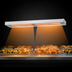 Thumbnail image #4 for Nemco 48-Inch Dual Remote-Control Infrared Strip Heater with Lights, 240V