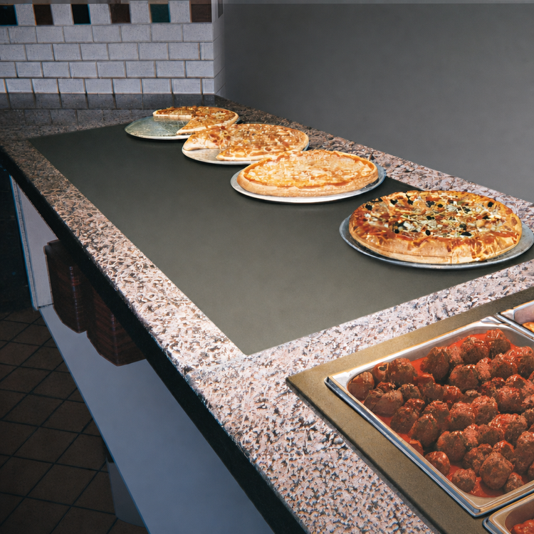 Product image #4 for Hatco Glo-Ray Built-In Heated Shelf with Flush Top, 61-1/2 x 25-1/2 Inch Surface, 1500 Watt