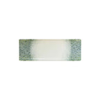 Thumbnail image #1 for Cardinal Papillon by Dudson FP904 Green Rectangular Vitrified Ceramic Tray, 9.75 x 3.5 in