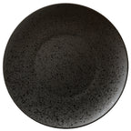 Thumbnail image #1 for 1880 Hospitality Lava by Oneida® L6500000139C 9-Inch Round Porcelain Coupe Plate Case of 2 Dozen