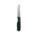 Thumbnail image #1 for Thunder Group SLSKGK002 Jumbo Steak Knife, 5-Inch Serrated Round-Tip Stainless Steel Blade, Plastic Handle Case of 15 Dozen