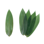 Thumbnail image #1 for Korin FD-104-100 Vacuum-Packed Bamboo Leaves, 12"L x 3-1/2"W Case of 32