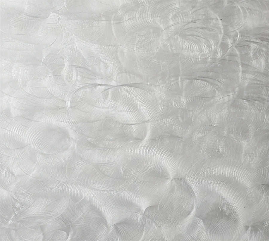 group picture