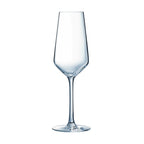 Thumbnail image #1 for Cardinal V. Juliette by Arcoroc N5082 Champagne Flute, 7.75 oz, Glass, Stemmed, Non-Tempered, Sheer Rim Case of 2 Dozen
