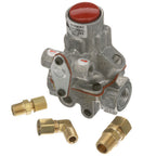 Thumbnail image #1 for AllPoints Foodservice Parts & Supplies Mavrik 541206 Gas Pilot Safety Valve, Natural/LPG, 1/4" FPT In/Out, 1/8" FPT Pilot, With Fittings