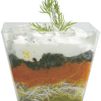 Thumbnail image #1 for JB Prince Comatec R542 2.75 Disposable Square Plastic Dish, 7 oz, Transparent
