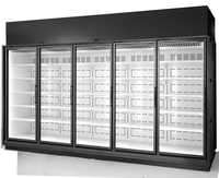 True 5-Door Low-Temp Glass Door Freezer Merchandiser, Self-Contained R290, Black Exterior/White Interior