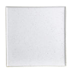 Thumbnail image #1 for Steelite Rene Ozorio, Wabi Sabi Lichen 6415MY016 Square Porcelain Tray, Lichen, 11.25" x 11.25"