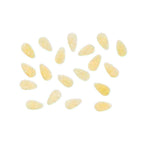 Thumbnail image #1 for Arcobaleno Pasta Equipment AEX50#318 Pasta Extruder Die #318, 6 x 3 mm, Midolline, Bronze