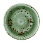 Thumbnail image #1 for Vertex China London Terra LTJ-C21 12-Inch China Plate, Round Coupe, Hand Painted Terra Jade 1 Dozen