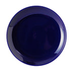 Thumbnail image #1 for Tuxton China Healthcare BCA-0904 9" Cobalt Ceramic Plate, Round, Narrow Rim 1 Dozen