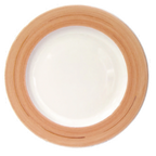 Thumbnail image #1 for Tableware Solutions USA Namib by Continental 55CCNAM101 China Plate, 10-3/4" Round, Wide Rim Case of 24