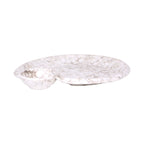 Thumbnail image #1 for G.E.T. Hermosa - EGS B429095-BRM Melamine 2-Compartment Chip & Dip Plate, Brown Marble, 9-1/2" x 8" Case of 6