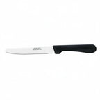 Thumbnail image #1 for Browne USA Foodservice 574329 Steak Knife, 4-1/8" Rounded-Tip Blade, Polypropylene Handle, 18/0 Stainless Steel Case of 12