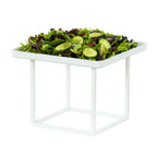 Thumbnail image #1 for Cal-Mil 23201-12-15 Square White Metal Buffet Riser, 12"W x 12"D x 12"H