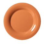 Thumbnail image #1 for G.E.T. Diamond Harvest WP-9-PK . . 9-Inch Pumpkin Melamine Plate, Round Wide Rim Dozen Case of 2 Dozen