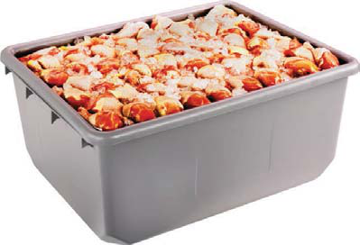 TUB2419-9