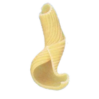 Thumbnail image #1 for Arcobaleno Pasta Equipment AEX18 & AEX20#254 Pasta Extruder Die #254, 11mm, Bronze, Ridged Torchietti