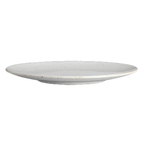 Thumbnail image #2 for Steelite Rene Ozorio, Wabi Sabi Lichen 6415MY008 9-1/2" Round Porcelain Coupe Plate, Lichen