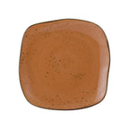 Thumbnail image #1 for Tuxton China Artisan Geode GGC-502 Coral 11-Inch Square Porcelain Plate 1 Dozen