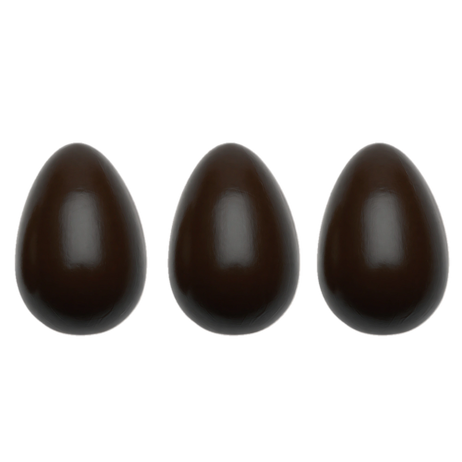 group picture